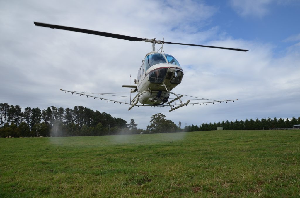 Spraying Squirrel